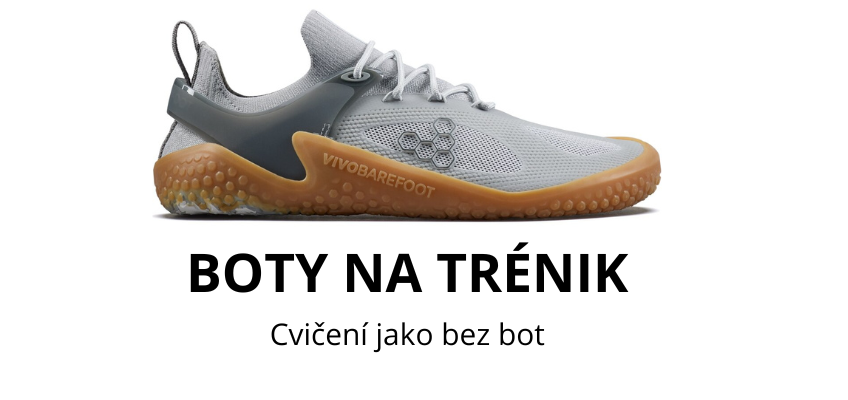 Motus Strenfth