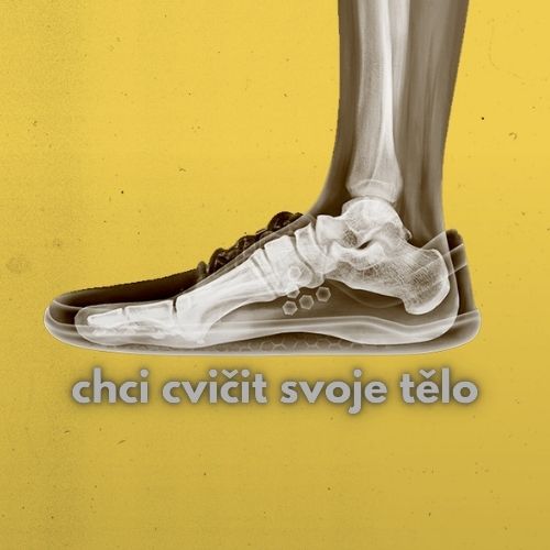 hci cvičit svoje tělo